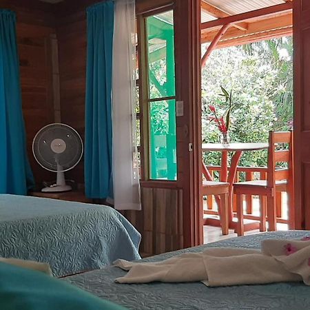 Bed and Breakfast Jardin Entre Montanas Bijagua Exteriér fotografie