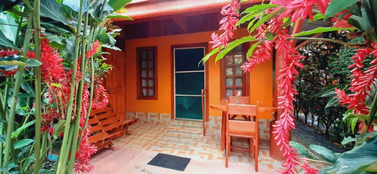 Bed and Breakfast Jardin Entre Montanas Bijagua Exteriér fotografie